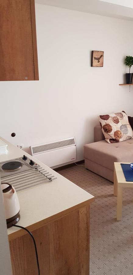 Dobricin Konak, Apartman 202 Kopaonik Esterno foto